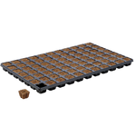 Eazy Plug 77s - Tray of 77 - Box of 10
