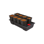 Origin Drip Irrigation Systems - Small Wide Origin 8 Complete (11 L Pots)