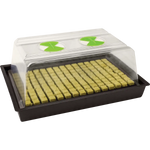 X-Stream Heat Propagator - Small X-Stream Heat