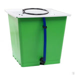 Green Man 1 - Single Pot System - (B)