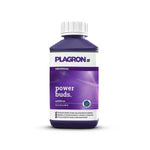 Plagron Power Buds 500ml