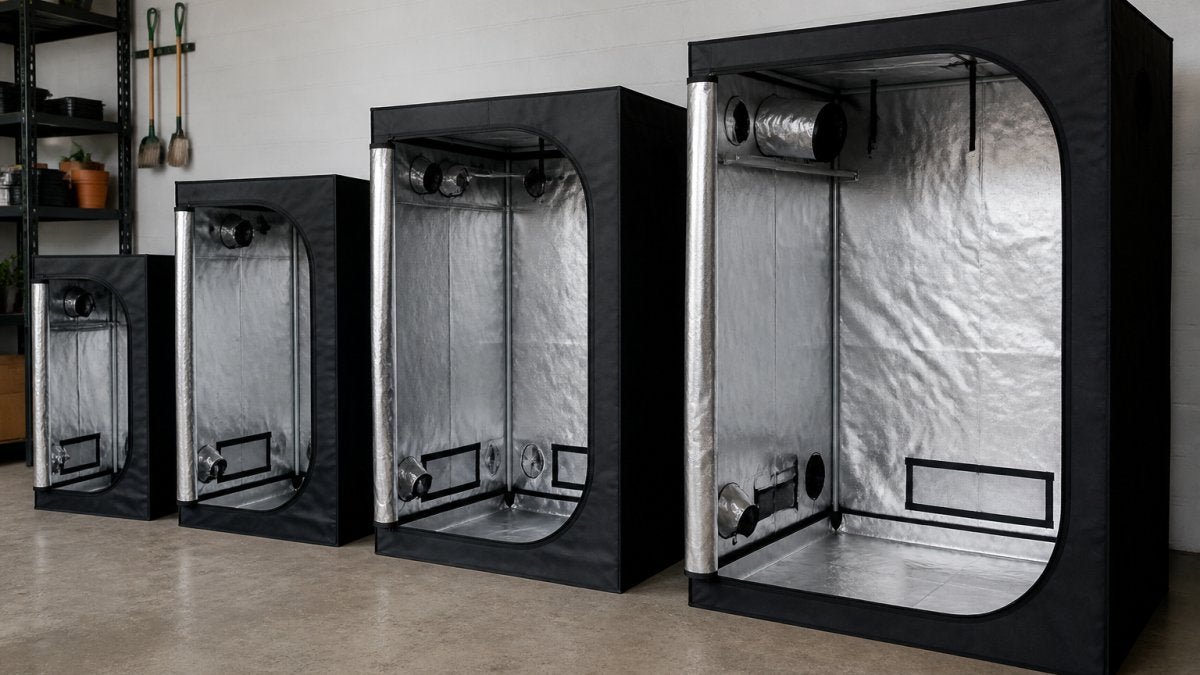Choosing the Right Grow Tent Size: A Practical Guide