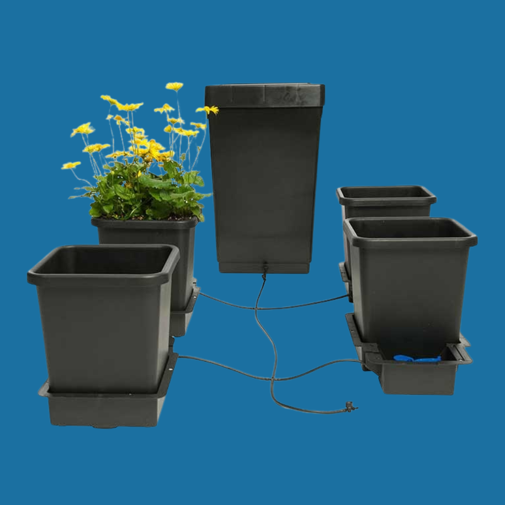 Autopot