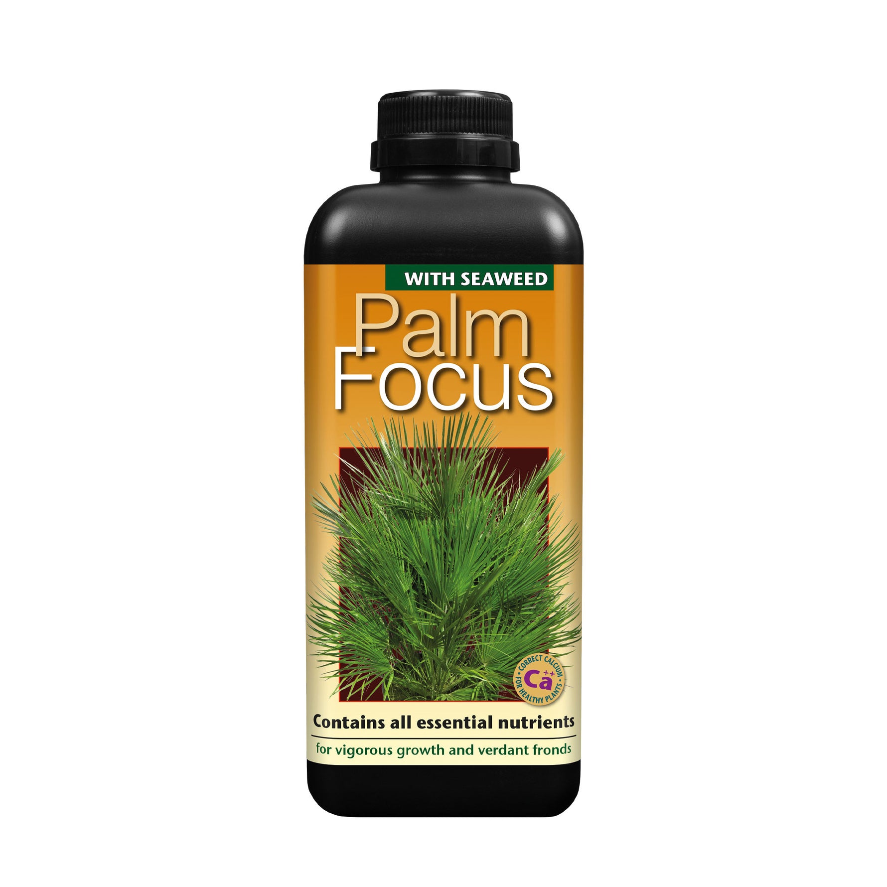 GT Palm Focus 1L