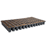 Eazy Plug 104s - Tray of 104 - Box of 6