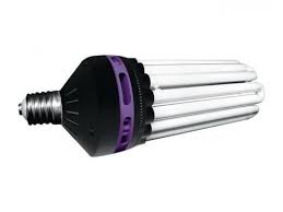 Streetlight 300w CFL (Dual Spectrum Lamp)