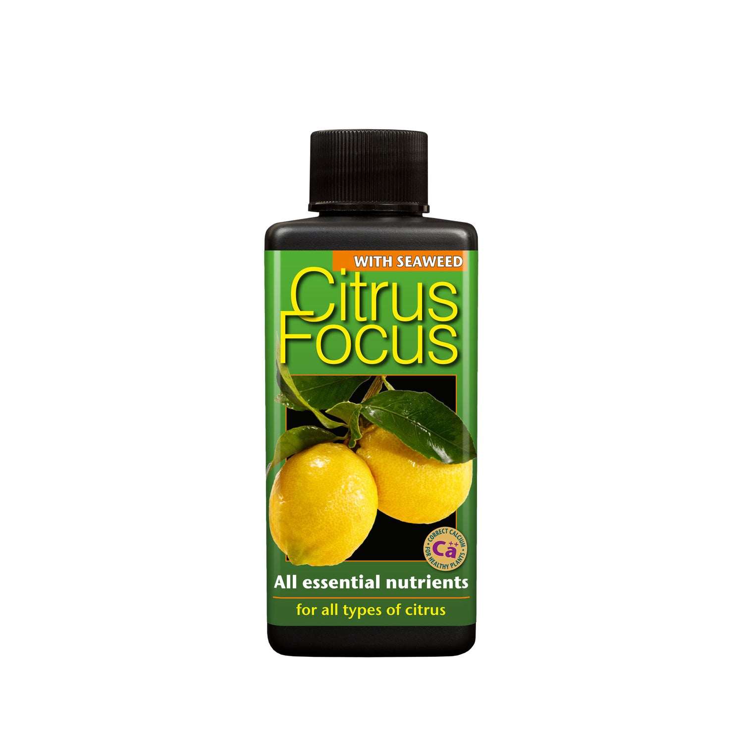 GT Citrus Focus 100ml
