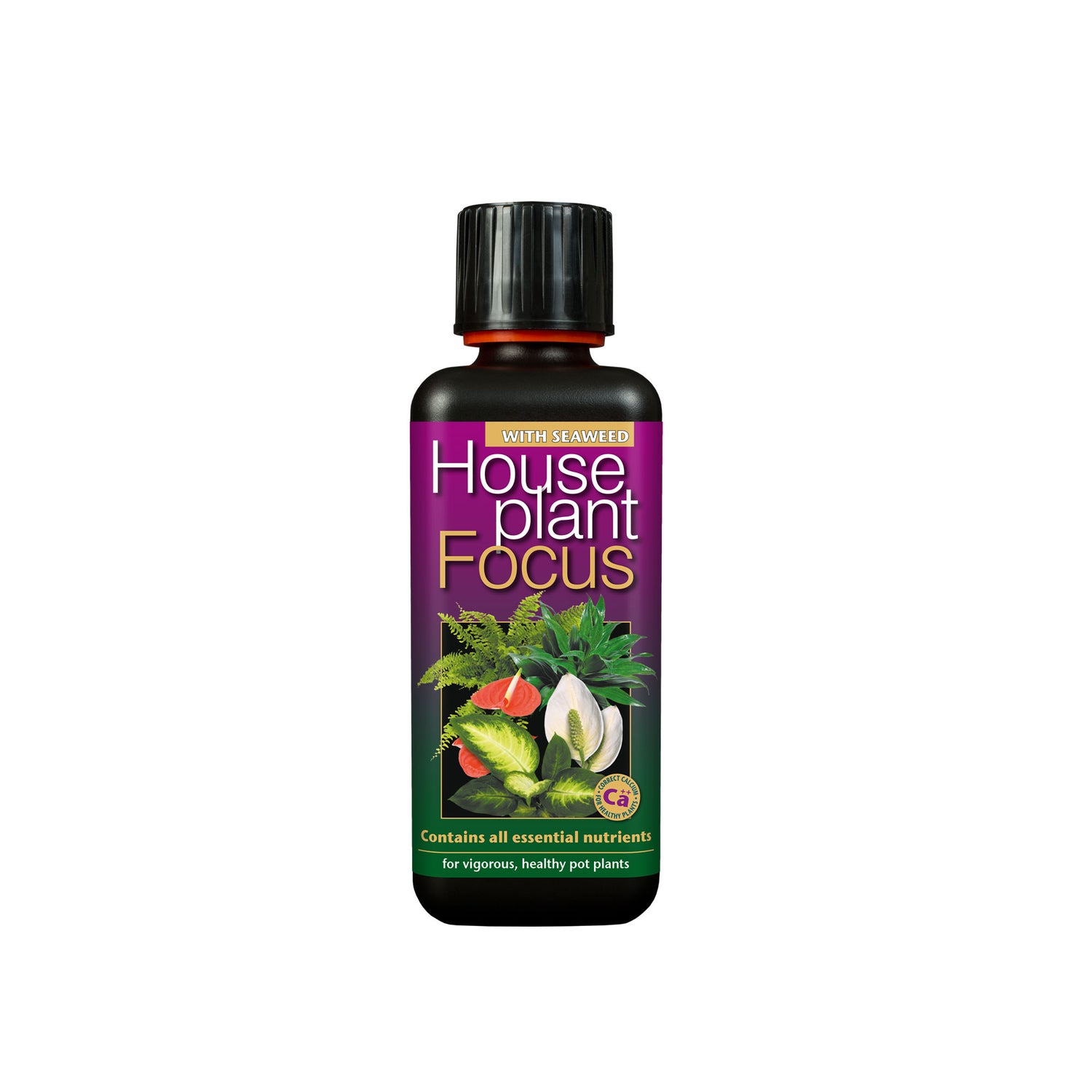 GT Houseplant Focus 300ml