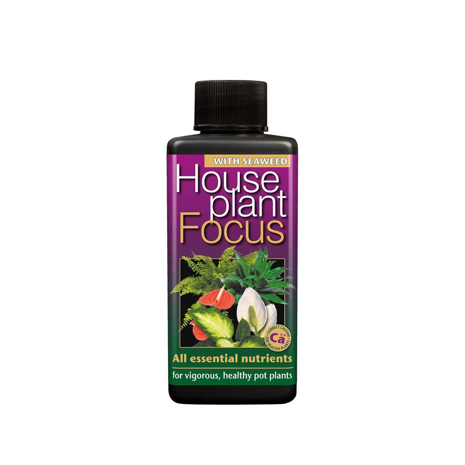 GT Houseplant Focus 100ml