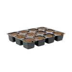 Eazy Plug 77s - Tray of 12