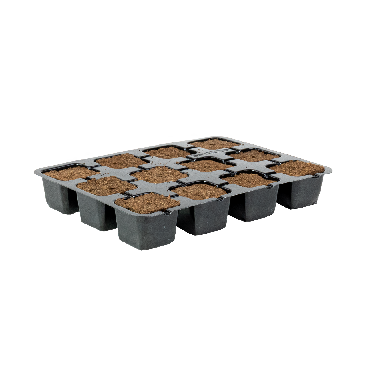 Eazy Plug 77s - Tray of 12