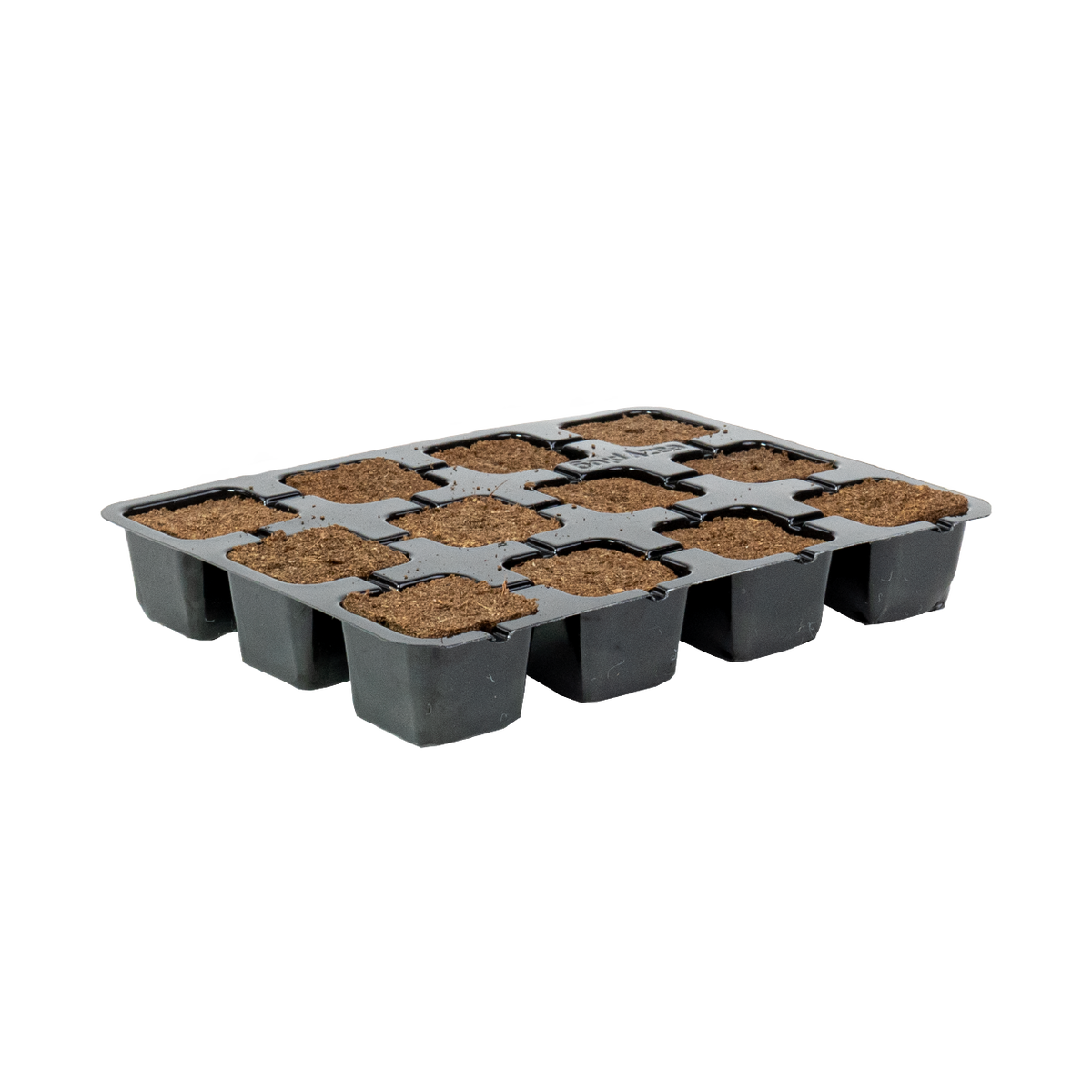 Eazy Plug 77s - Tray of 12 - Box of 48