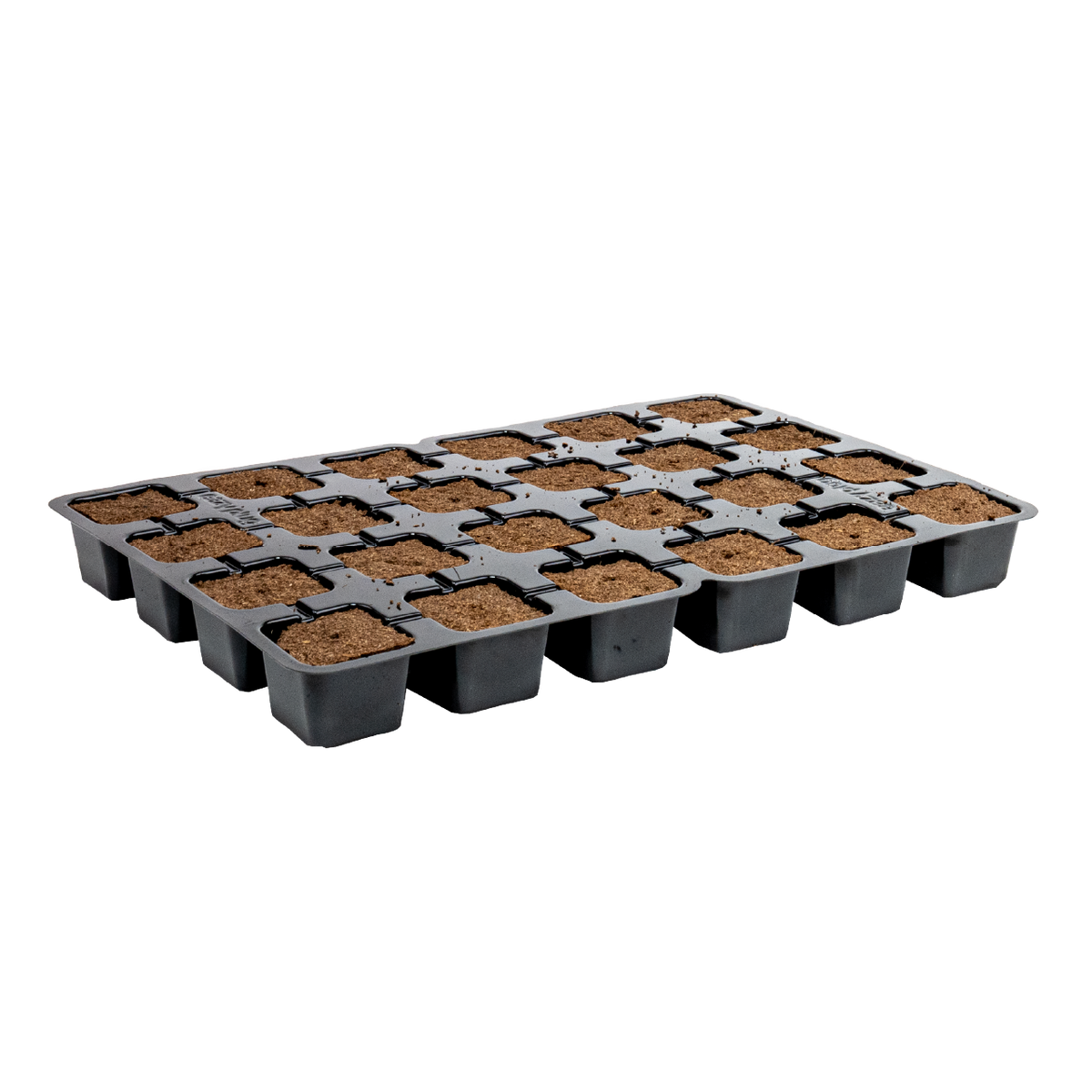 Eazy Plug 77s - Tray of 25