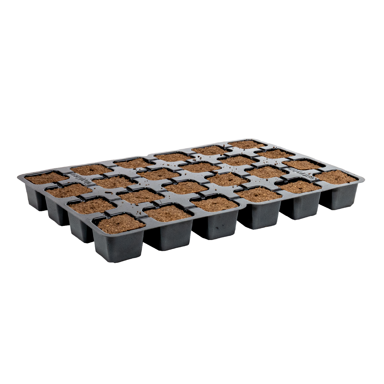 Eazy Plug 77s - Tray of 25