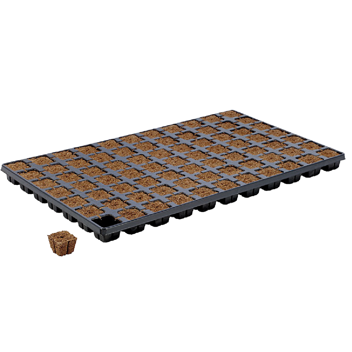 Eazy Plug 77s - Tray of 77