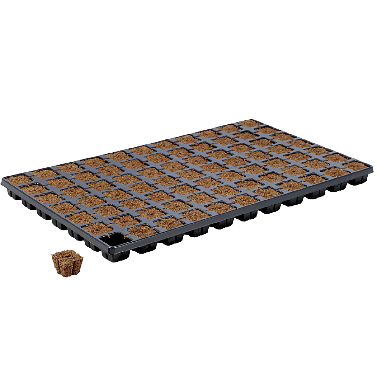 Eazy Plug 77s - Tray of 77