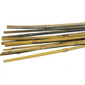 Bamboo Canes - (5ft) 1.5m x 12mm-14m   (Pack of 125)