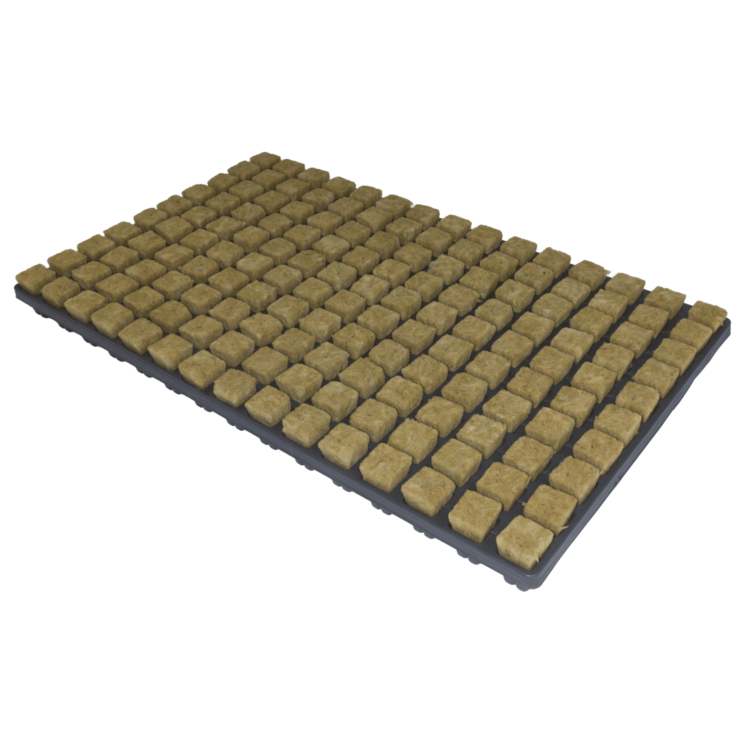 Cultiwool Starter Plugs - Cultiwool CRB (SBS) 36 mm /1 .5" (77 / Tray, 18 Trays per Box)