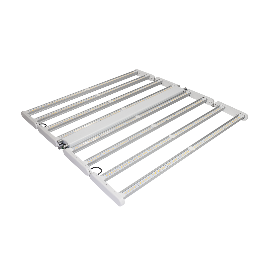 DLI Diode Multilayer 600 FS - Diode Multilayer 600 FS