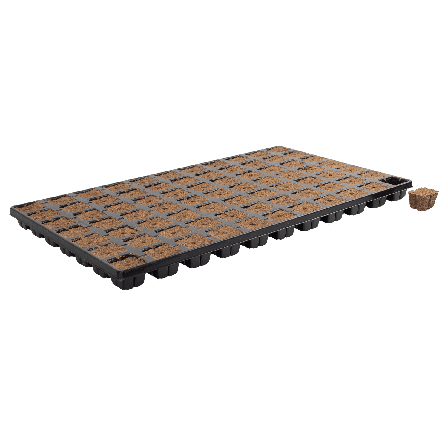 Eazy Plug 150s - Tray of 150