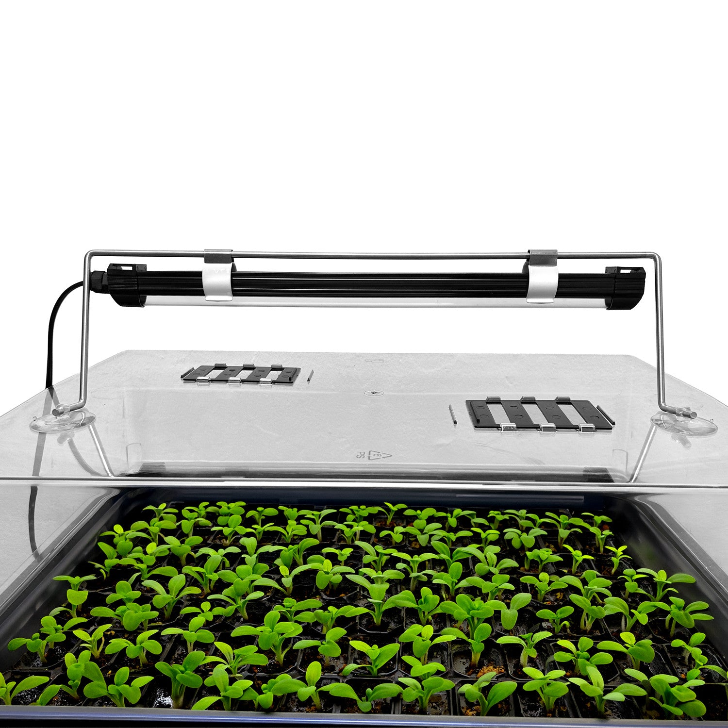 Gorilla Propagation LED 8W with Support Bar