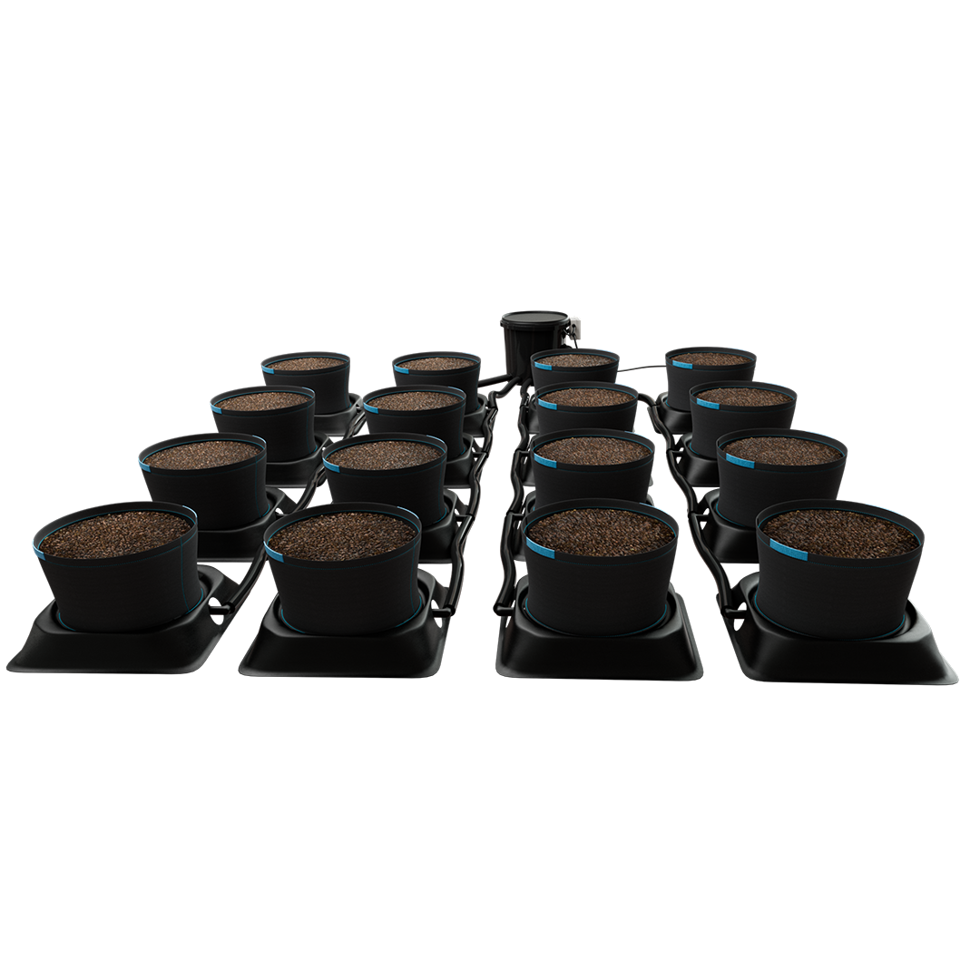 IWS Autodrain Pro