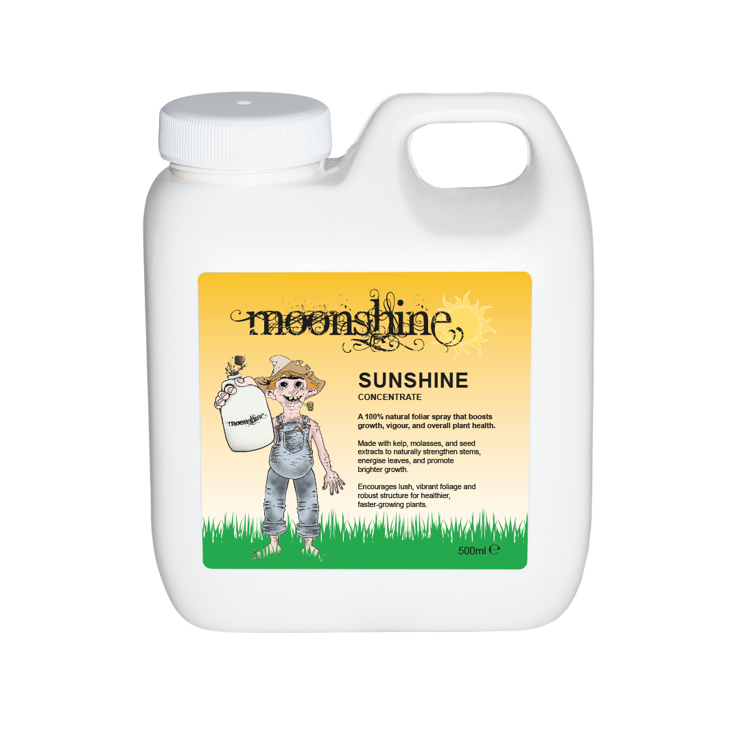 Moonshine - Sunshine - Concentrate - 500ml