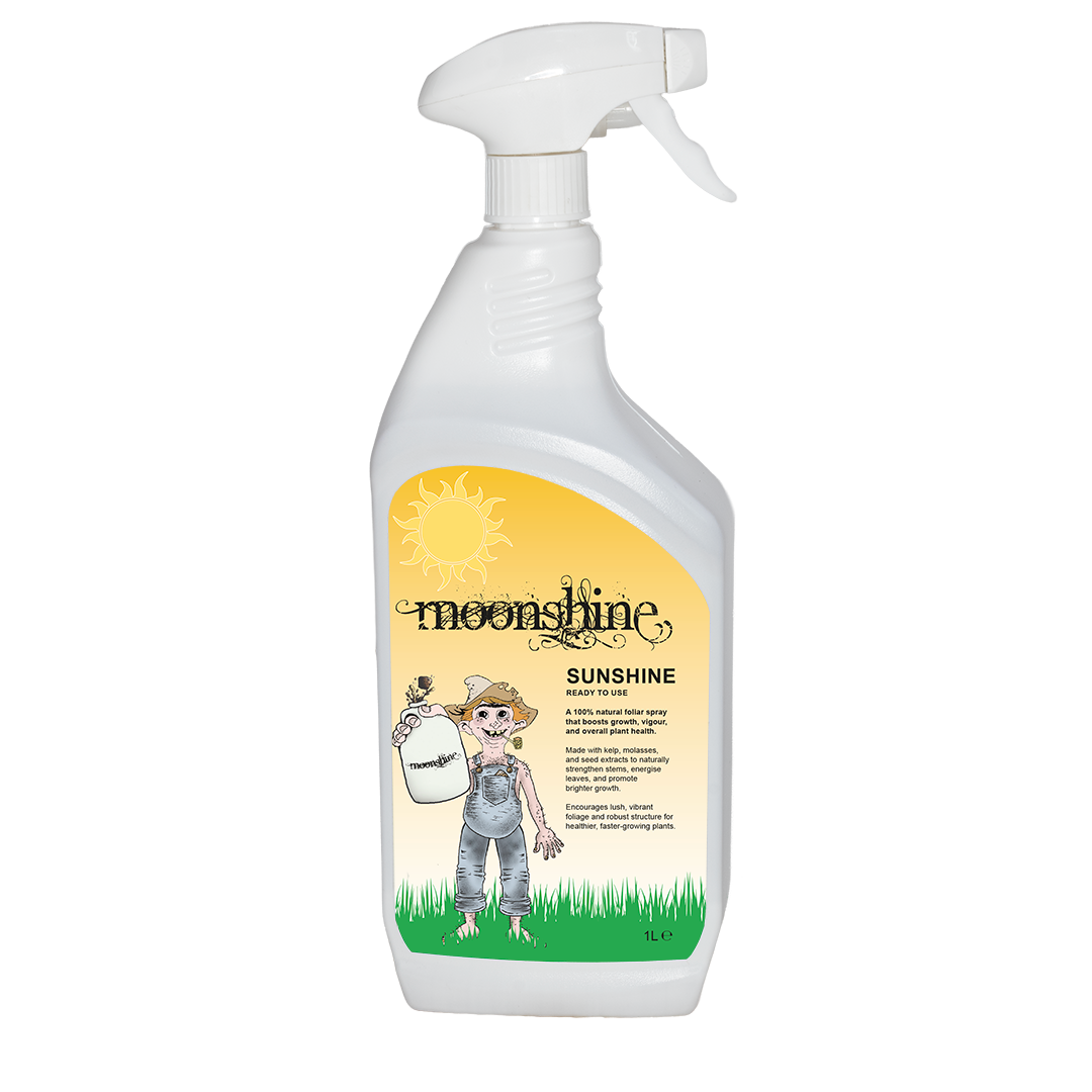 Moonshine - Sunshine - Ready to Use - 1L - Box of 12