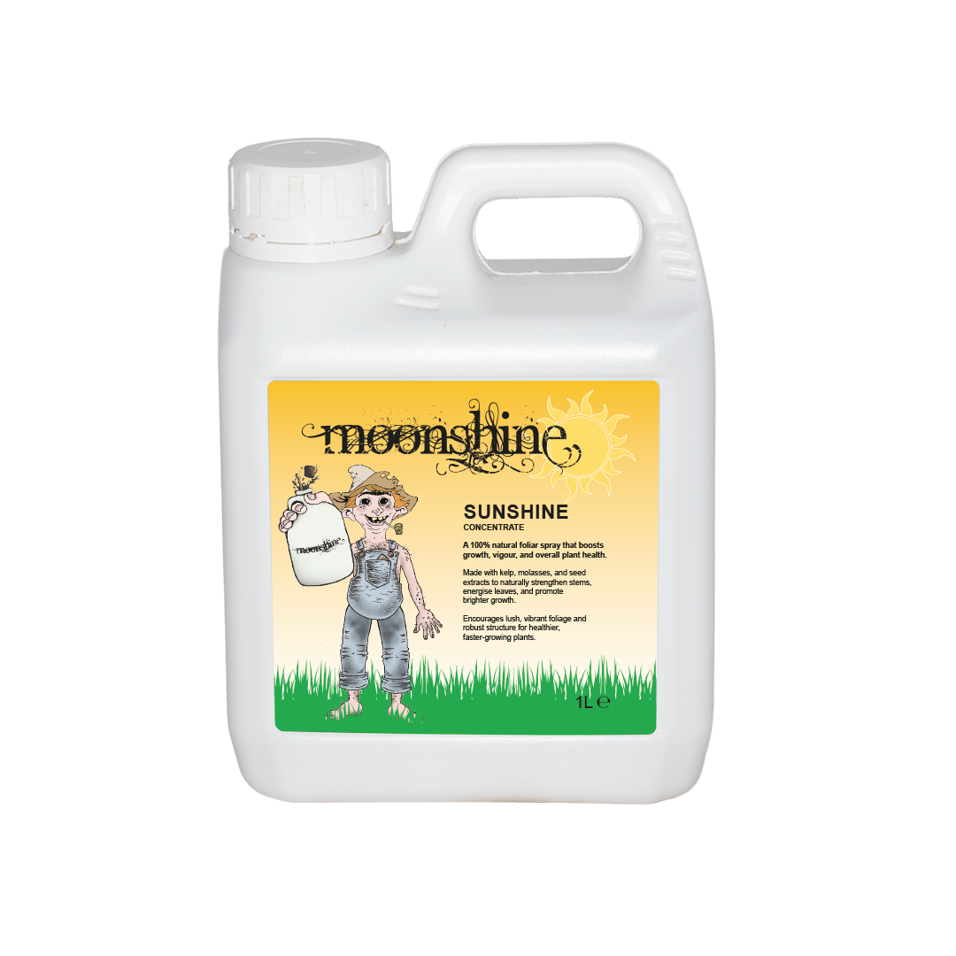 Moonshine - Sunshine - Concentrate - 1L - Box of 12