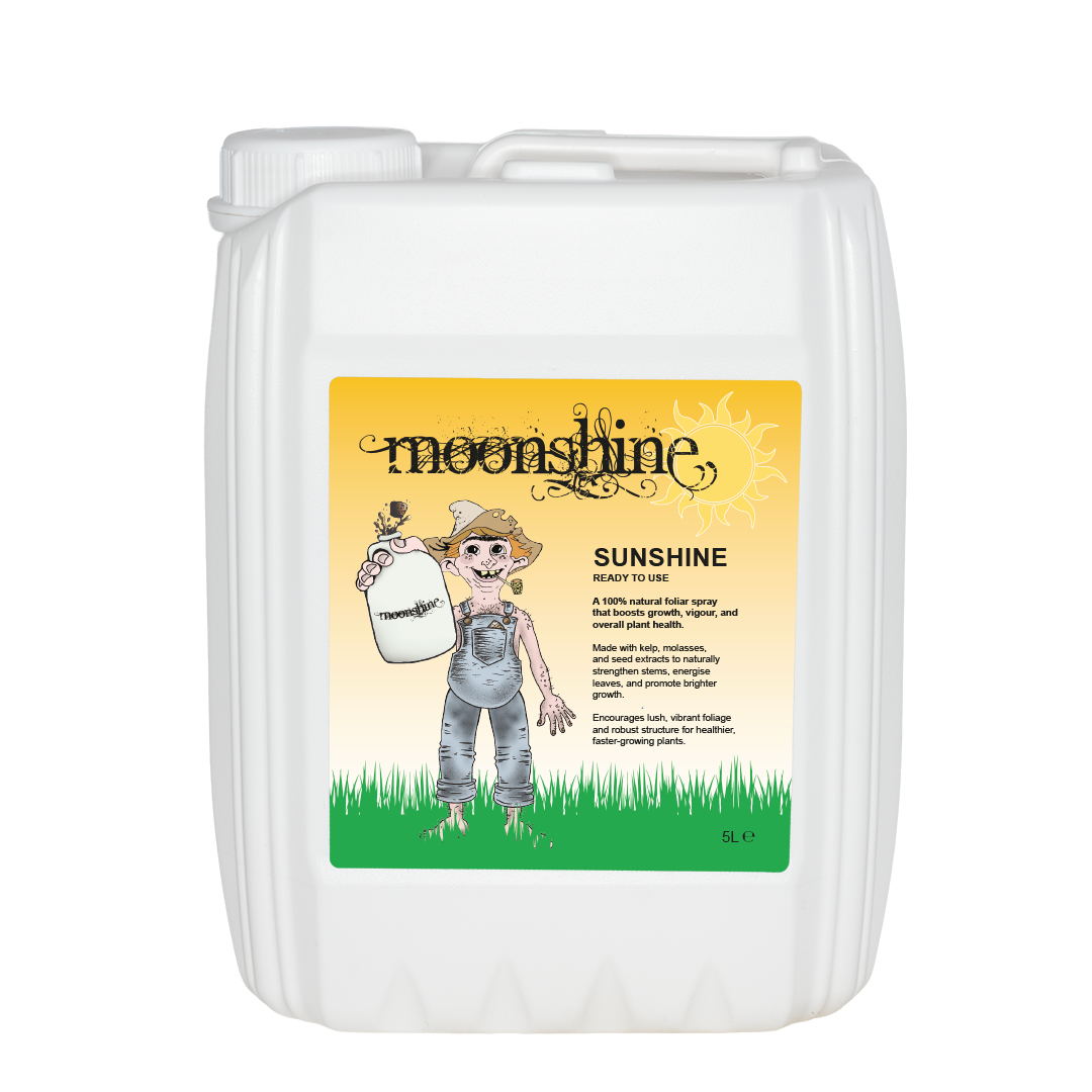 Moonshine - Sunshine - Ready to Use - 5L - Box of 4