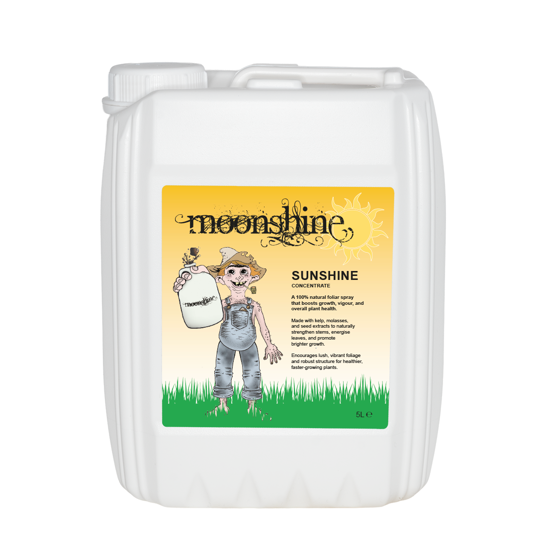 Moonshine - Sunshine - Concentrate - 5L