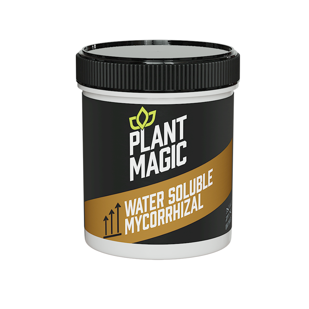 Plant Magic Water Soluble Mycorrhizal - Water Soluble Mycorrhizal - 150 g - Box of 6