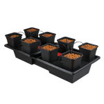 Origin Drip Irrigation Systems - Large Wide Origin 8 Complete (18 L Pots)