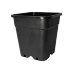 Square Pot - Square Pot - 2 L (x 100)