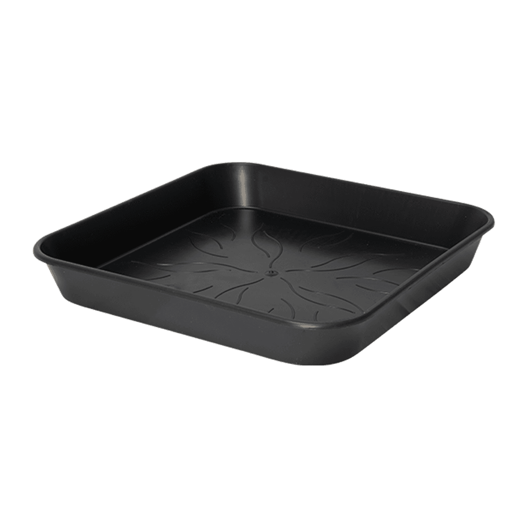 Square Saucer - Square Saucer - 29 cm (18 L-25 L) (x 100)
