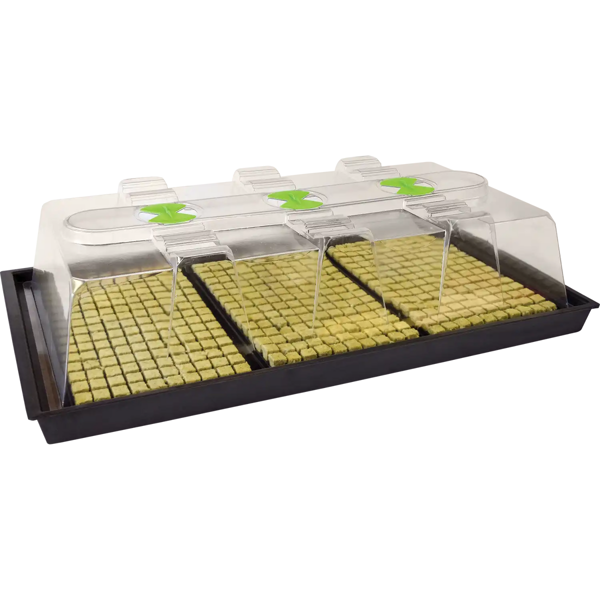X-Stream Heat Propagator - Large X-Stream Heat