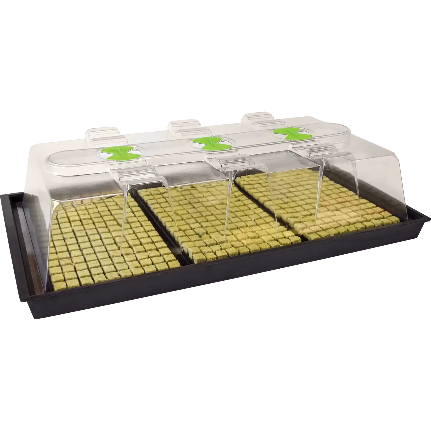 X-Stream Heat Propagator - Large Heated Base