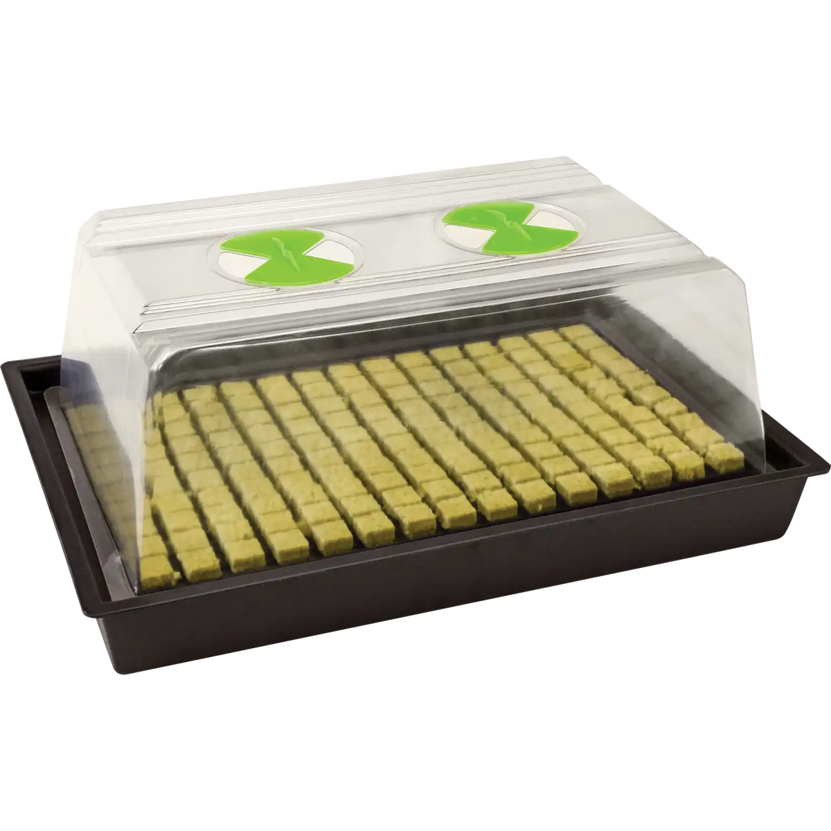X-Stream Heat Propagator - Small X-Stream Heat Variable