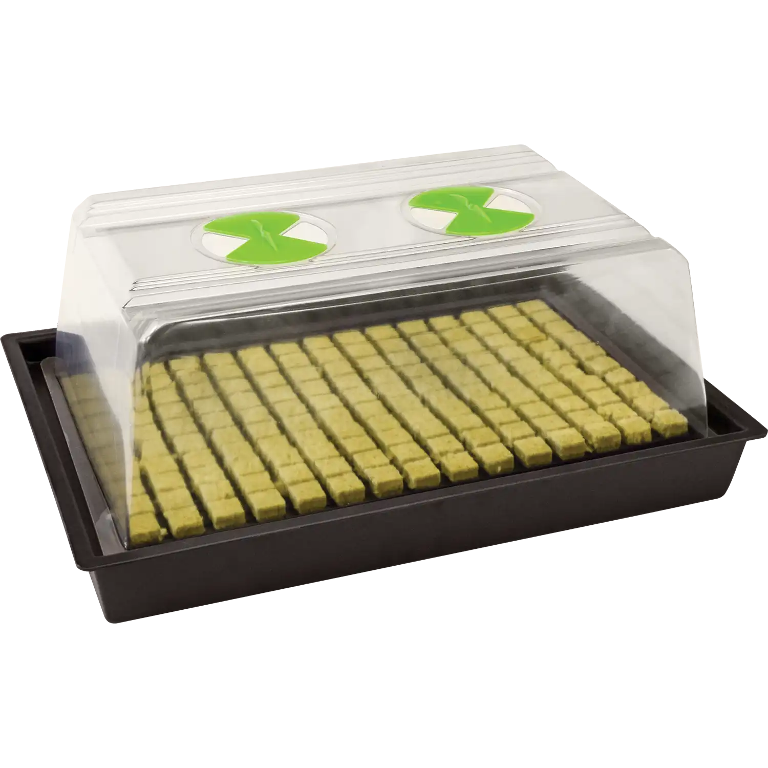 X-Stream Heat Propagator - Small X-Stream Heat Variable