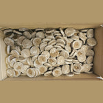 Jiffy 7 Peat Pellets (Small Box Min 600 units) 41mm Loose Pack