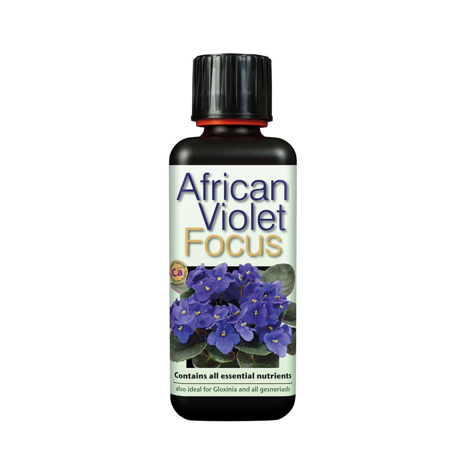 GT African Violet Focus 300ml