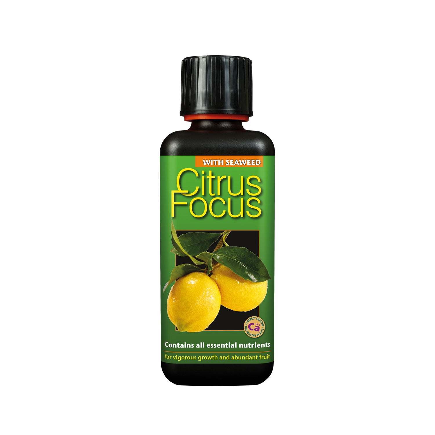 GT Citrus Focus 300ml