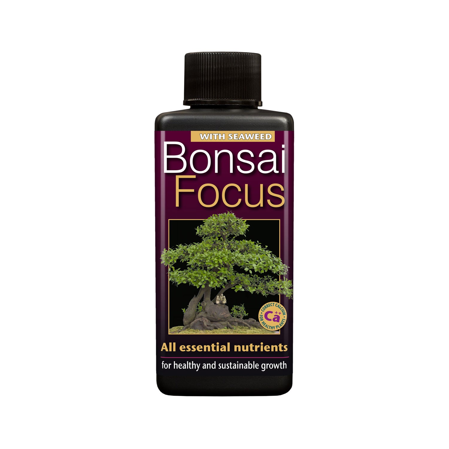 GT Bonsai Focus 100ml