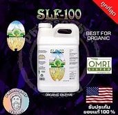 SLF-100 Enzymes 3.8L (1 US Gallon)